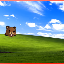 594