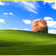 664