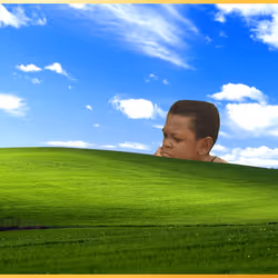 291