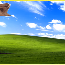990