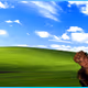 685