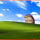 696