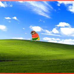592