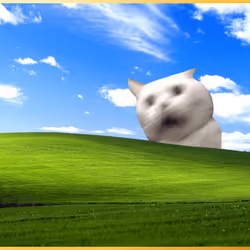 177