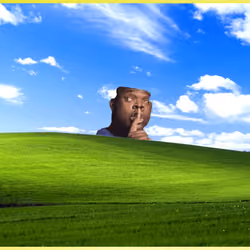 WindowsXD #232