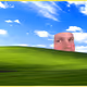 813