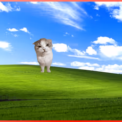 630