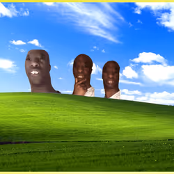 314