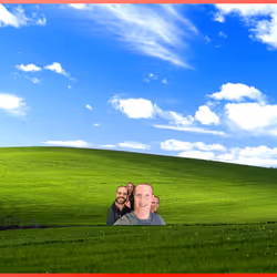719
