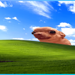 739