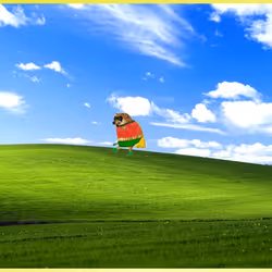 995