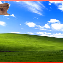 100