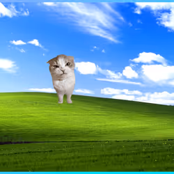 456