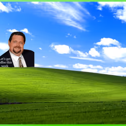 264