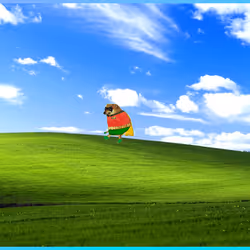 467