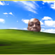 764