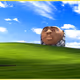 883