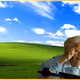 577