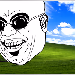 667