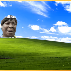 485