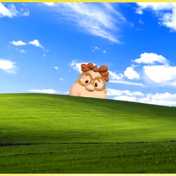 655