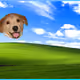 825
