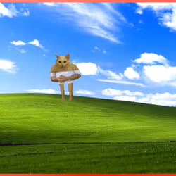 897