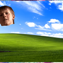 530