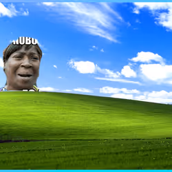 848