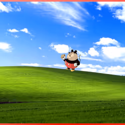 605