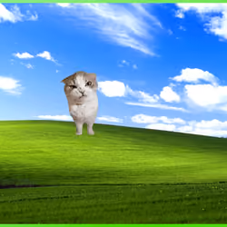 741