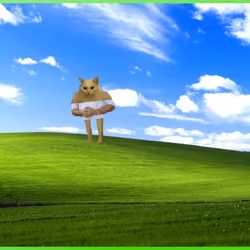 526