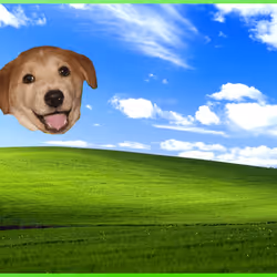 419
