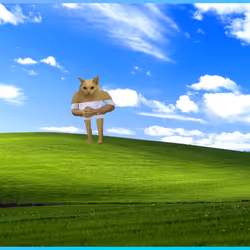 850