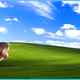 642