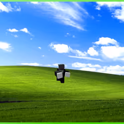 355