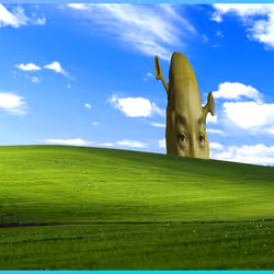 641