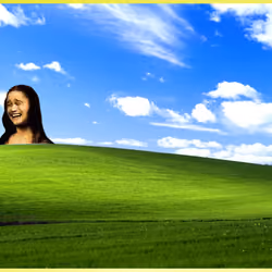 779