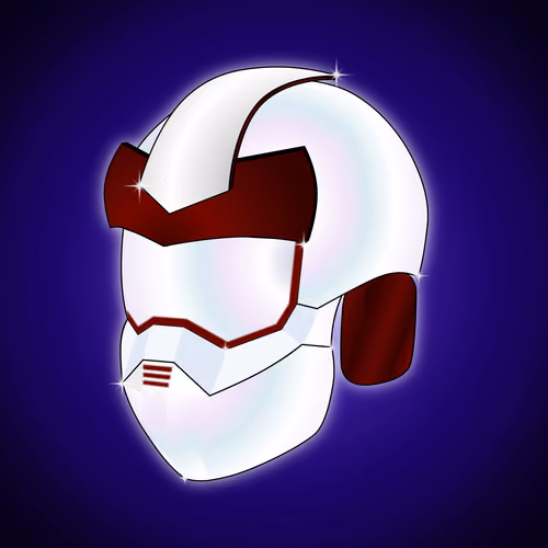 Helmet #334