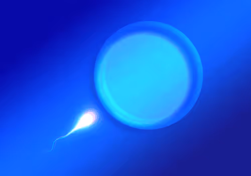 1460