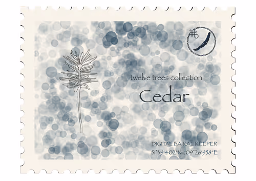 Item #37943077859985672362405624852520785716790679924099411753478095422308128653316 Media