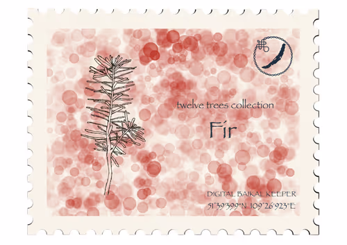 Item #37943077859985672362405624852520785716790679924099411753478095422308128653320 Media