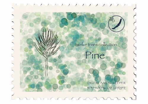 Item #37943077859985672362405624852520785716790679924099411753478095422308128653314 Media