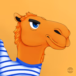 M@NCamels #63