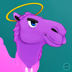 M@NCamels #123