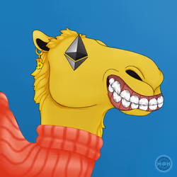 M@NCamels #74