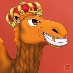 M@NCamels #125