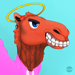 M@NCamels #61