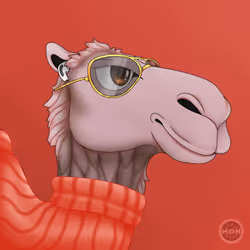 M@NCamels #69