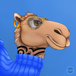 M@NCamels #66